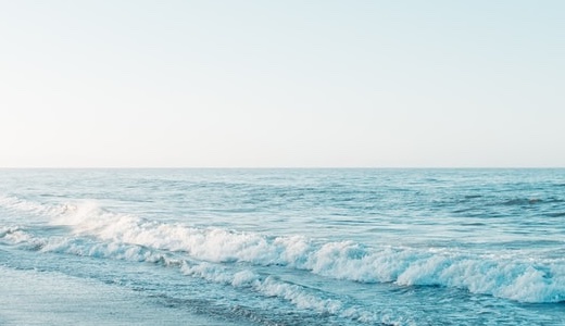 株式会社Biz Programming（ビズプログラミング）